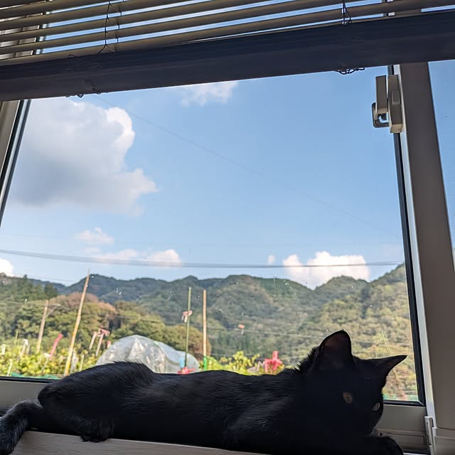 ciiiさんの実例写真