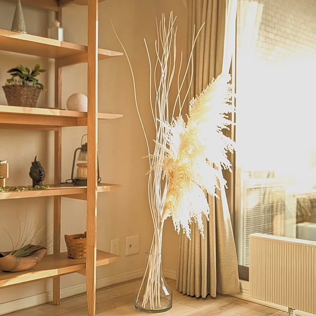 Lunaさんの部屋