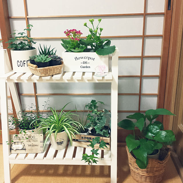 hanaotoさんの実例写真