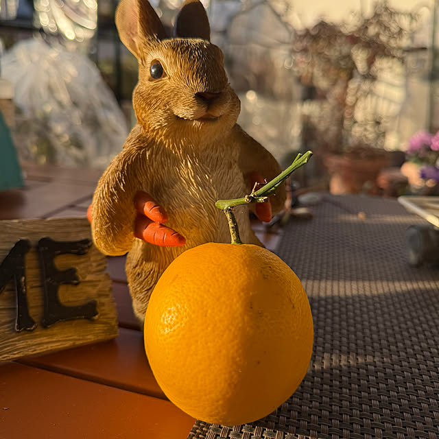 Aqettyさんの実例写真