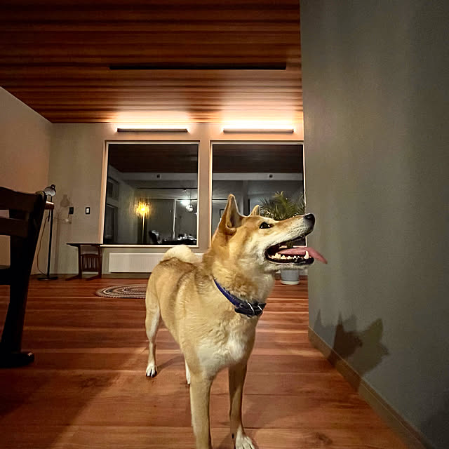 MMMさんの実例写真