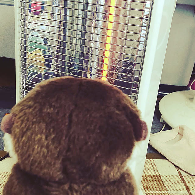 rainさんの実例写真