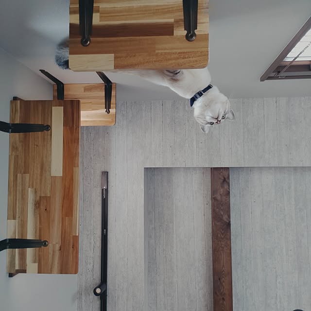 Atelier_tamakiさんの部屋