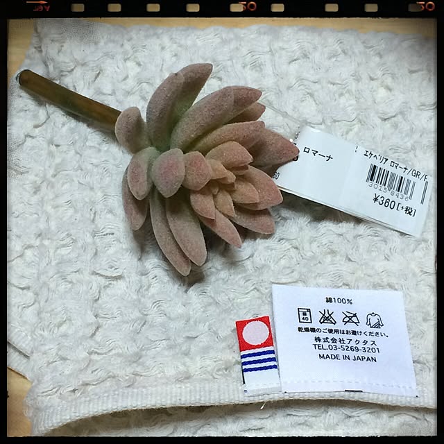 akilove6さんの実例写真