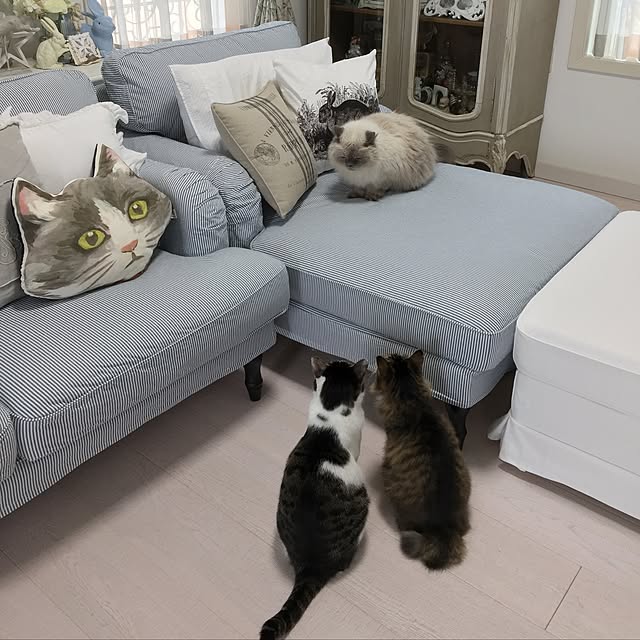 yuchiさんの実例写真