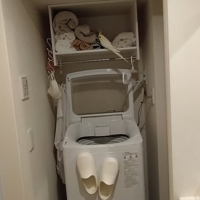 toratanさんの部屋