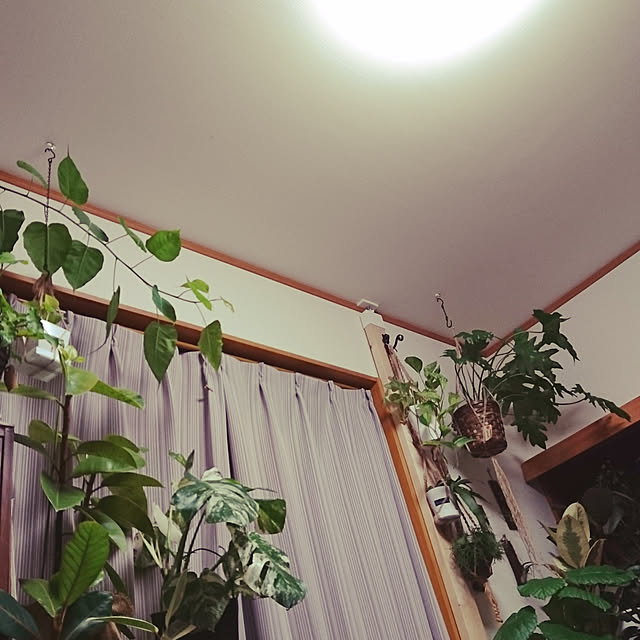 an_ibuさんの実例写真