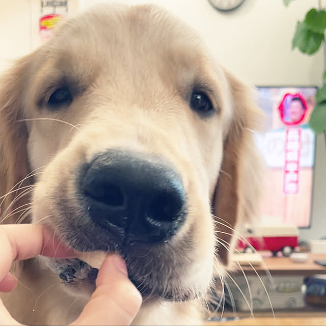 marinkoさんの実例写真