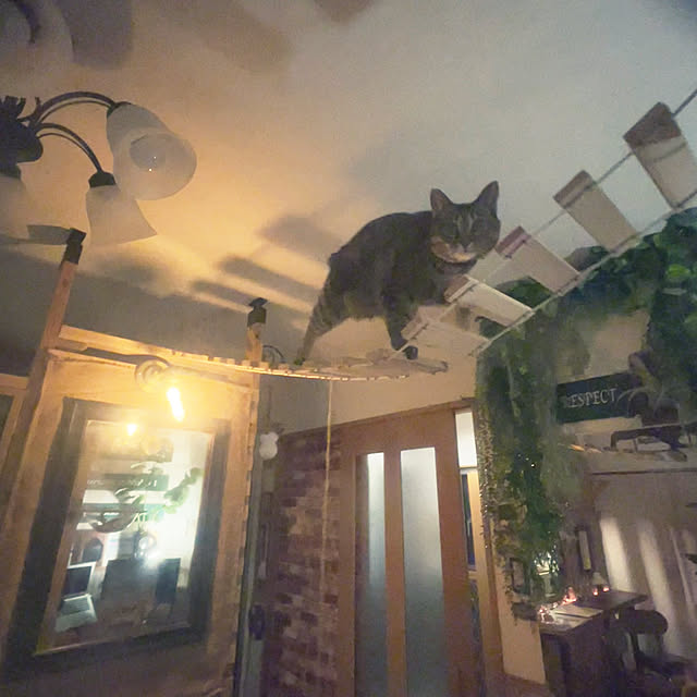 Mさんの部屋