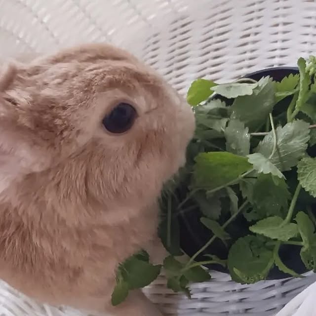 aiさんの部屋