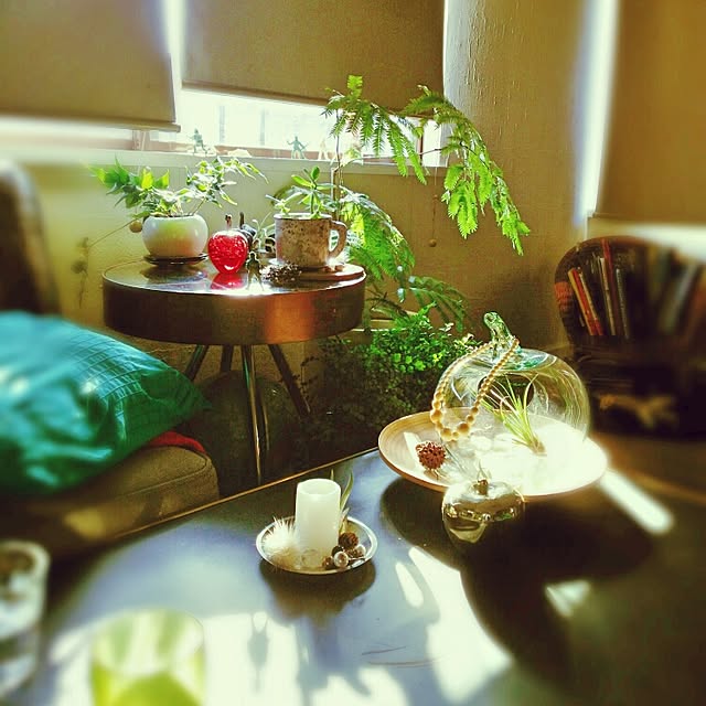 kaorinさんの実例写真