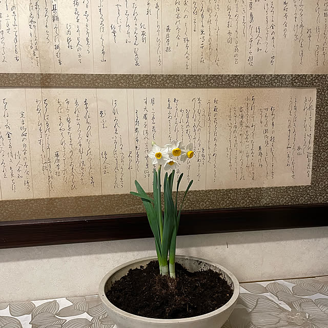 mamizaさんの実例写真