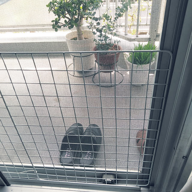 futukoさんの実例写真