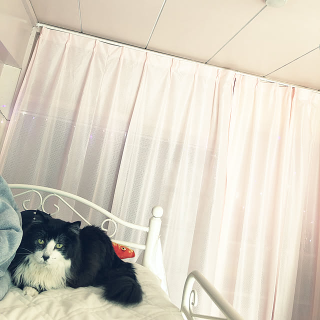 kanaさんの実例写真