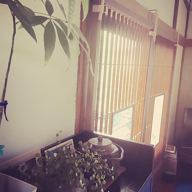 cantiamoさんの実例写真
