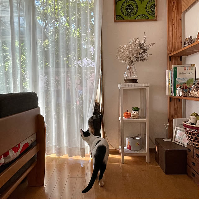 nobikoさんの部屋
