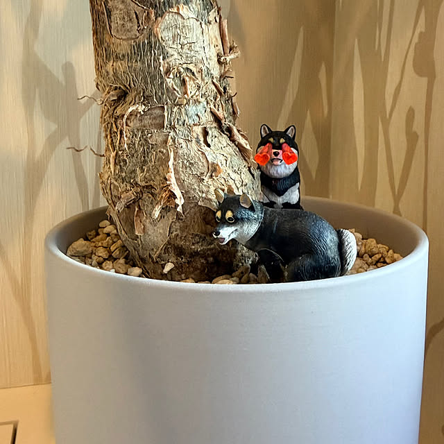 nuruiさんの部屋