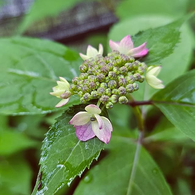 mocomocoさんの部屋