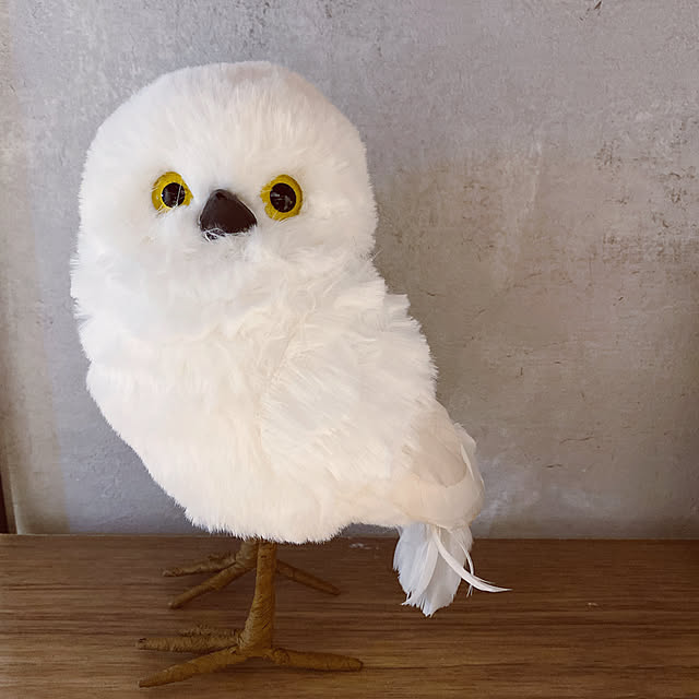 fk3939さんの実例写真