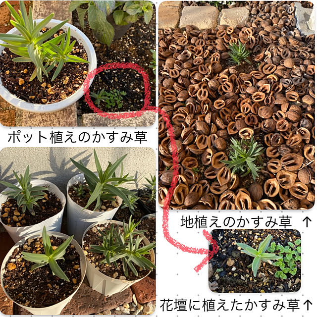 yuri.sさんの部屋