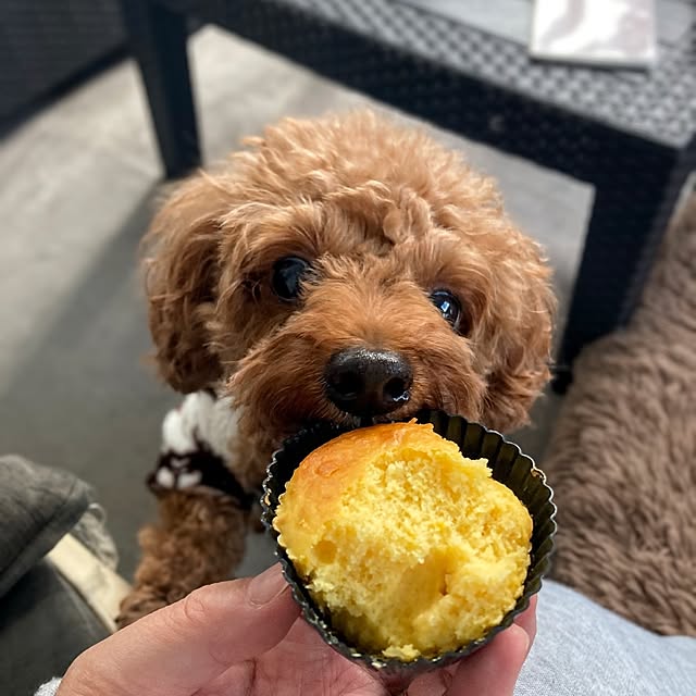 MOMOMAMAさんの部屋