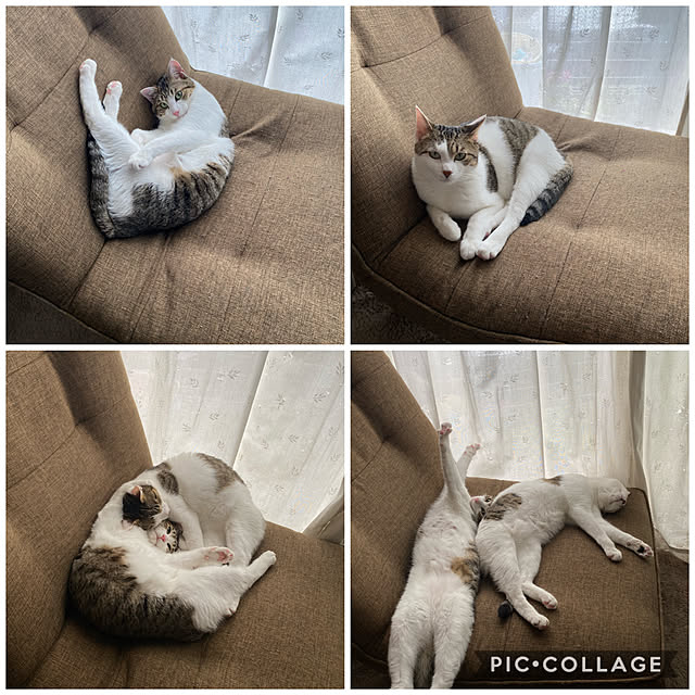Lufuさんの実例写真