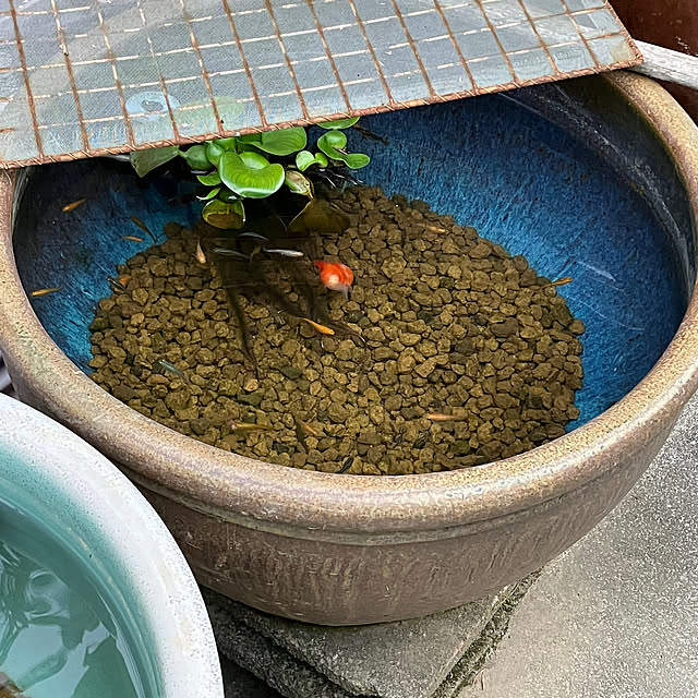koshiregutyoさんの実例写真