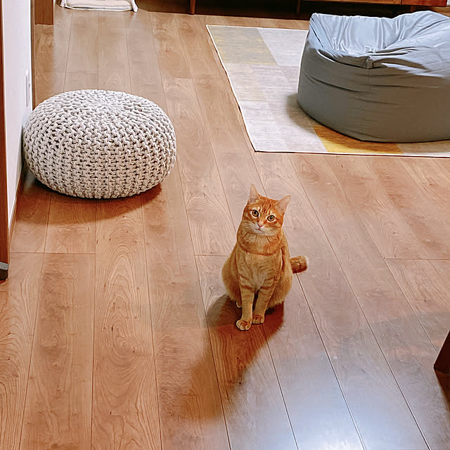 reo..m.aさんの実例写真