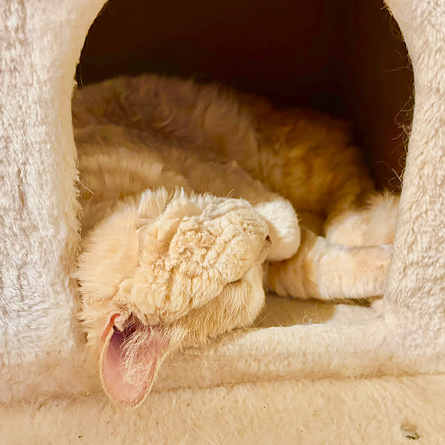 naokoさんの部屋