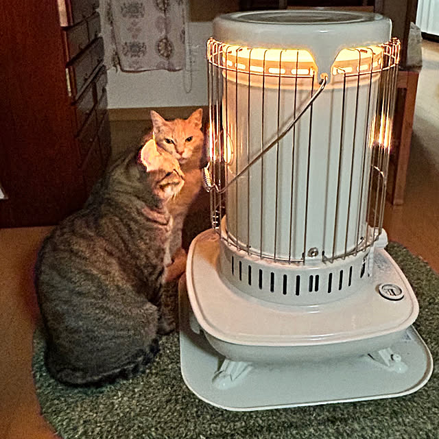 mikan161さんの実例写真