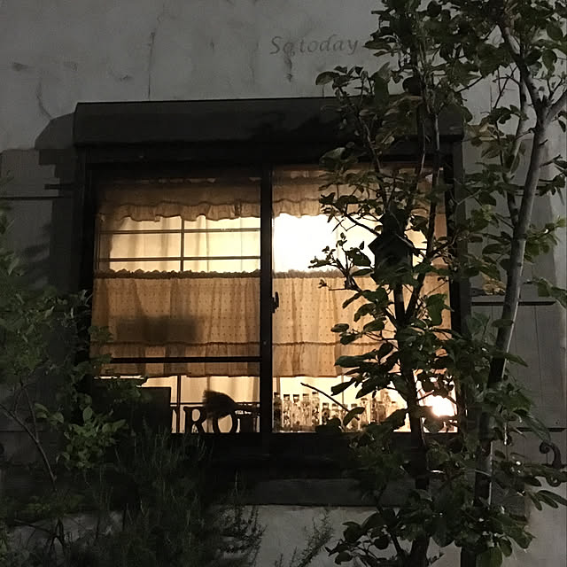 tabasaさんの実例写真