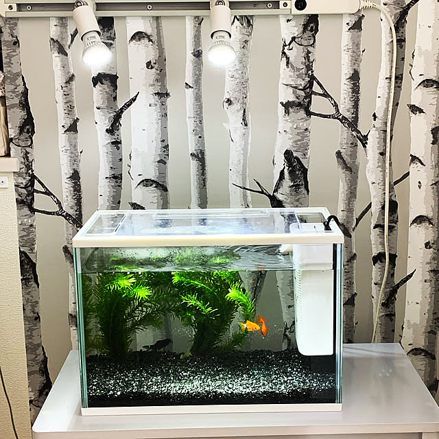 happyroomさんの実例写真