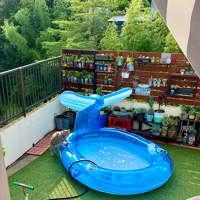 umi96さんの実例写真