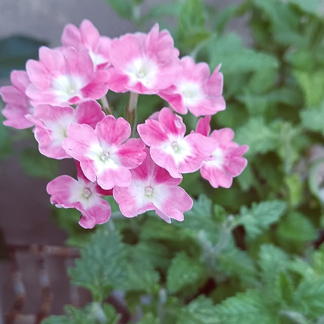hiro-yさんの実例写真