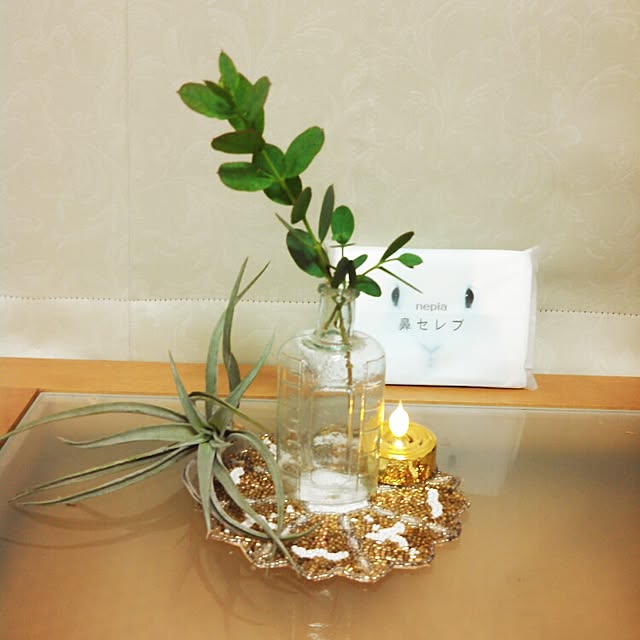 机/エアプランツ/鼻セレブ(ΦωΦ)/ガラス瓶♡/残念賞いただきました(≧∀≦)...などのインテリア実例 - 2015-09-01 20:28:07