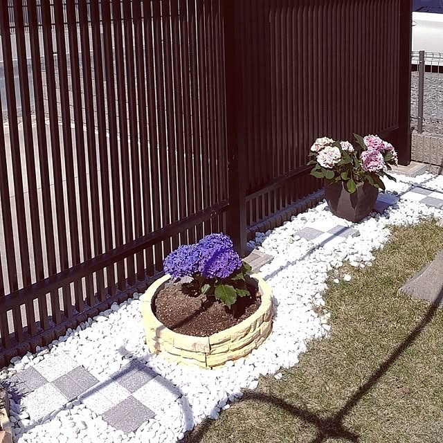 tomoさんの部屋