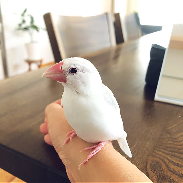 i-chanさんの実例写真