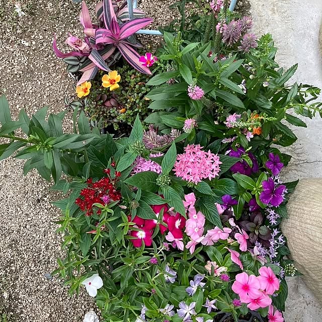 min_nimさんの実例写真
