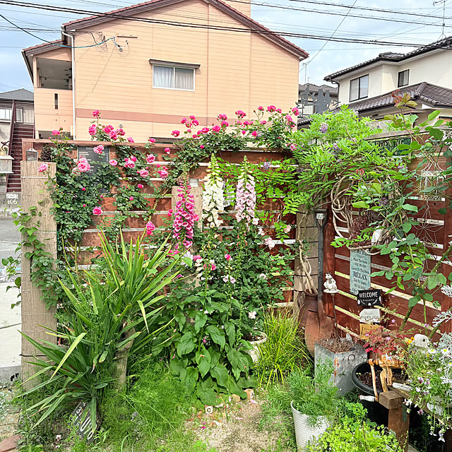 mayumiさんの部屋