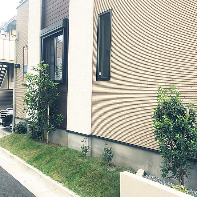 Emiさんの実例写真