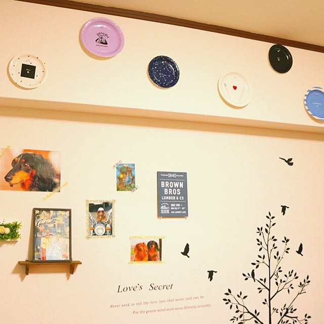 iyokan0105さんの実例写真