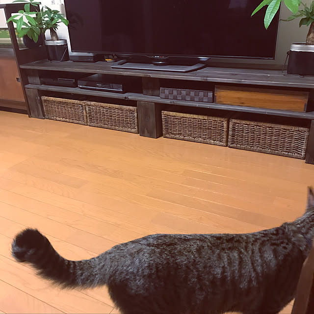 mikan161さんの実例写真
