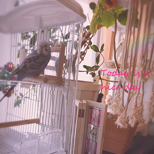 SAKICHIさんの実例写真