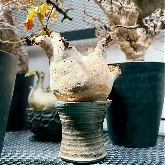 nuruiさんの部屋