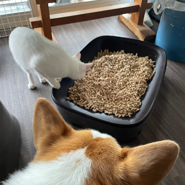 328さんの部屋