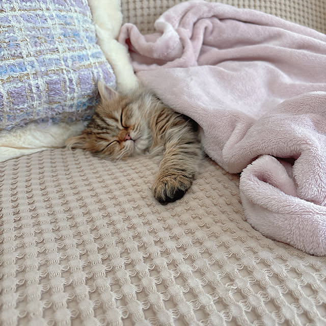 miyu39さんの部屋