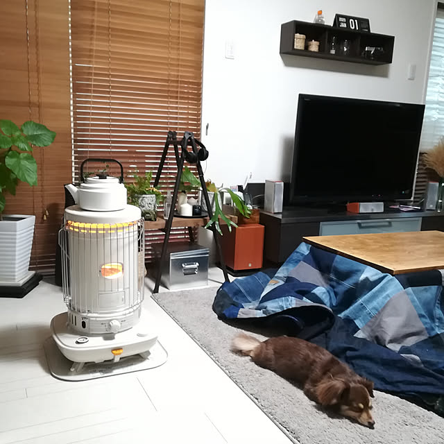 rikakoさんの実例写真