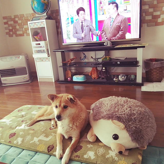 aiさんの実例写真