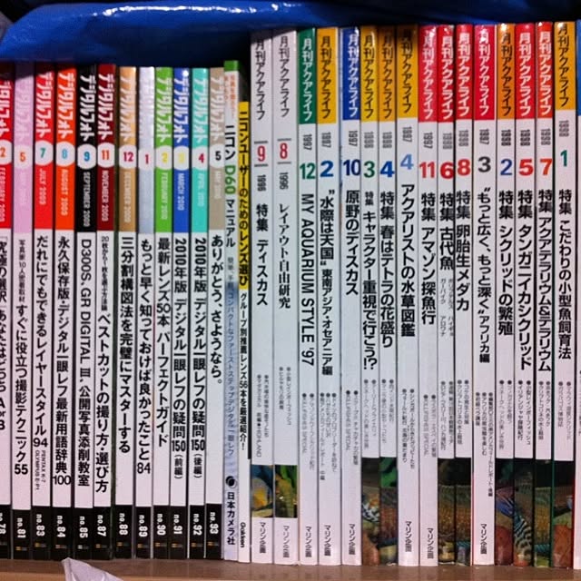 Shigeさんの実例写真
