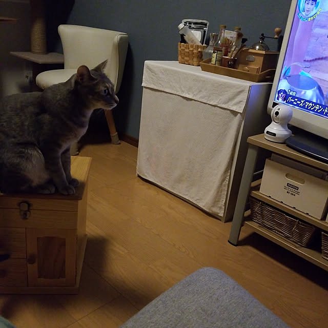 yukiさんの実例写真